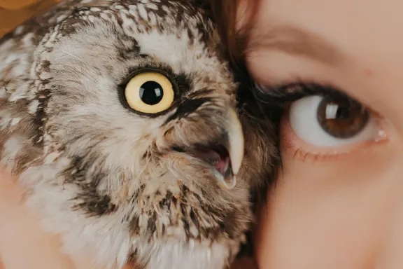 Kasino Welcome Bingo Sokongan